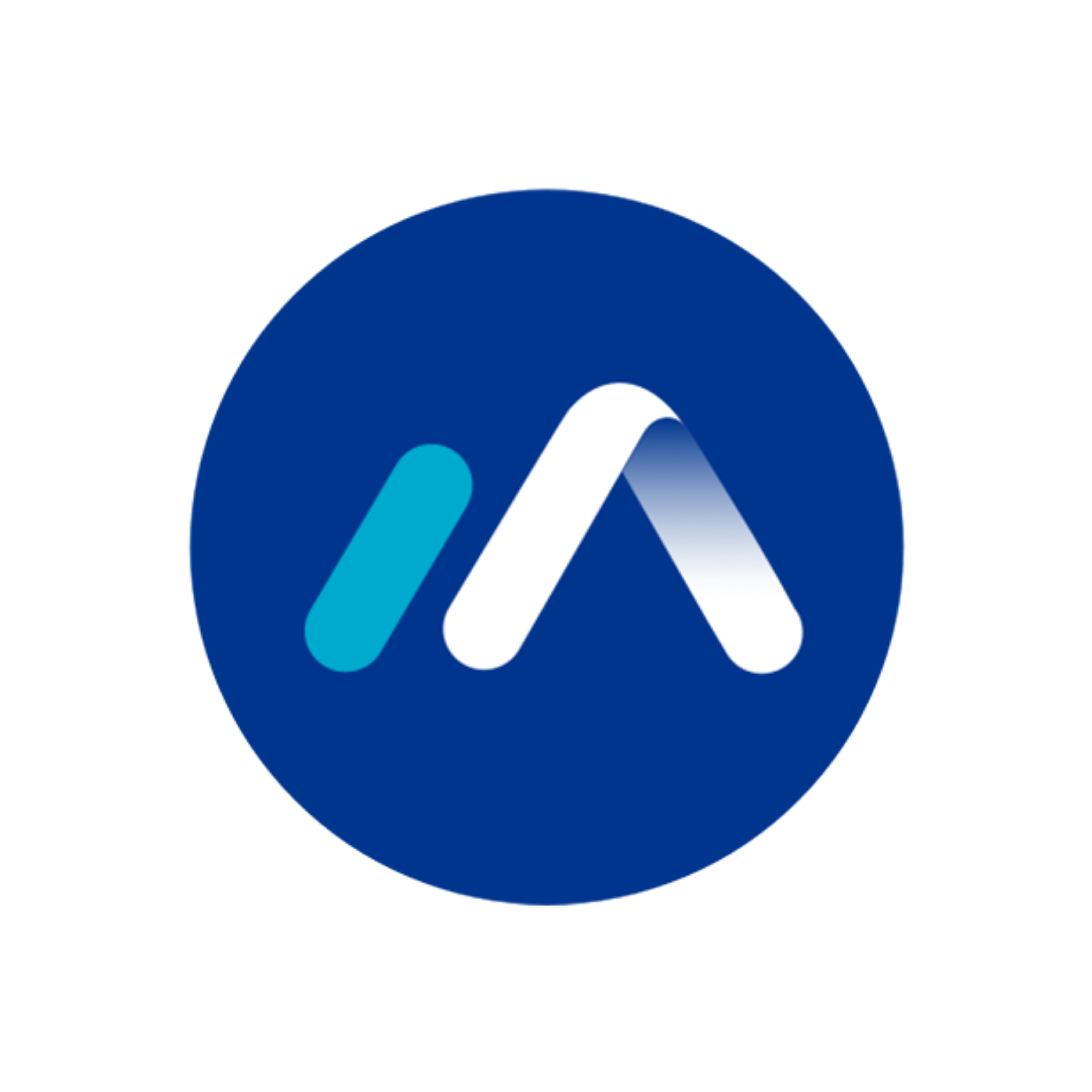 Mercantil Andina